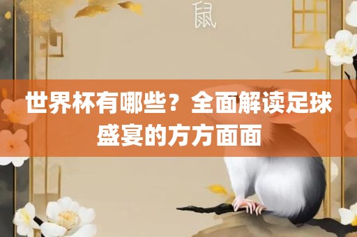 世界杯有哪些？全面解读足球盛宴的方方面面