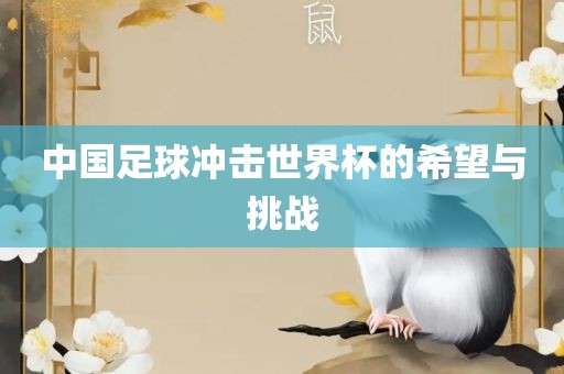 中国足球冲击世界杯的希望与挑战