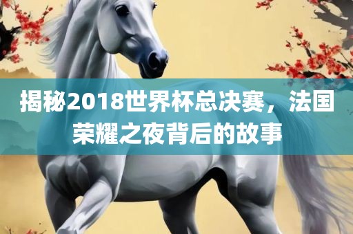 揭秘2018世界杯总决赛，法国荣耀之夜背后的故事洛阳市法福文化传播有限公司
