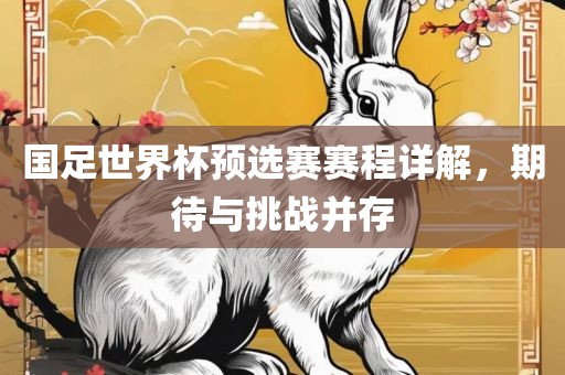 国足世界杯预选赛赛程详解，期待与挑战并存洛阳市法福文化传播有限公司