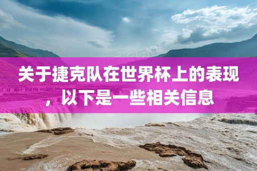 关于捷克队在世界杯上的表现，以下是一些相关信息洛阳市法福文化传播有限公司