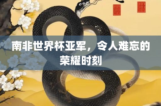 南非世界杯亚军，令人难忘的荣耀时刻