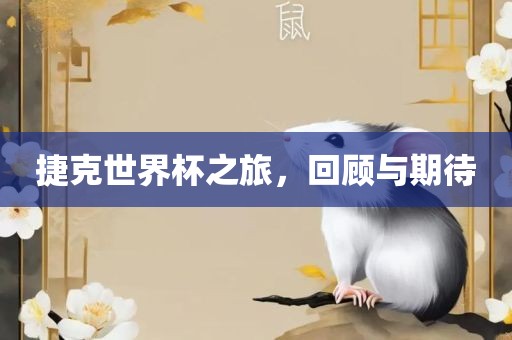 捷克世界杯之旅，回顾与期待洛阳市法福文化传播有限公司