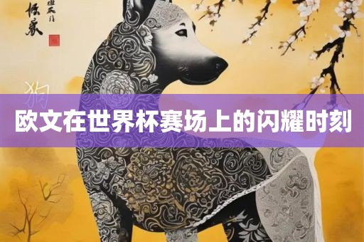 欧文在世界杯赛场上的闪耀时刻
