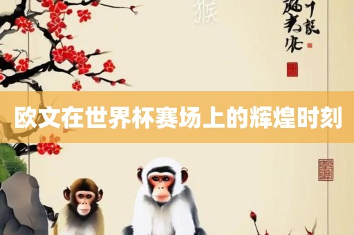 欧文在世界杯赛场上的辉煌时刻