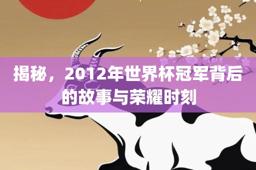 揭秘，2012年世界杯冠军背后的故事与荣耀时刻