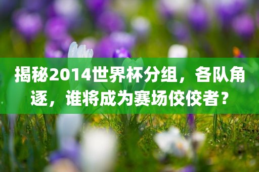揭秘2014世界杯分组，各队角逐，谁将成为赛场佼佼者？