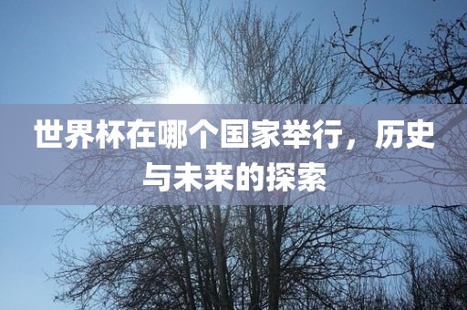 世界杯在哪个国家举行，历史与未来的探索