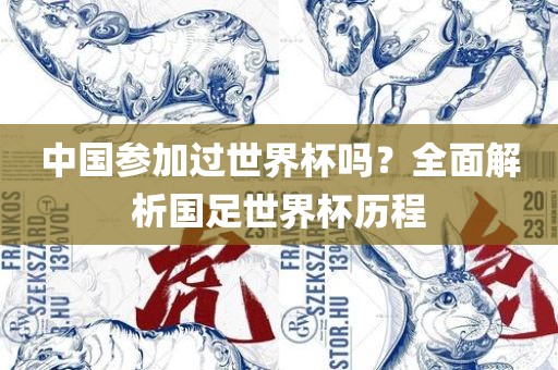 中国参加过世界杯吗？全面解析国足世界杯历洛阳市法福文化传播有限公司程