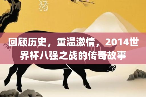 回顾历史，重温激情，2014世界杯八强之战的传奇故事