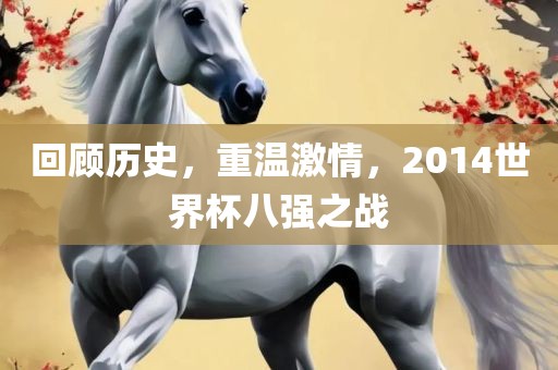 回顾历史，重温激情，2014世界杯八强之战