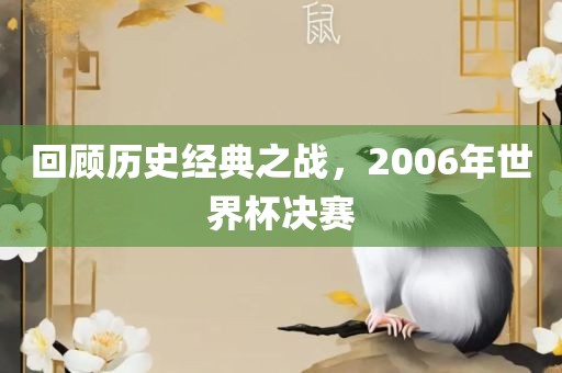 回顾历史经典之战，2006年世界杯决赛洛阳市法福文化传播有限公司