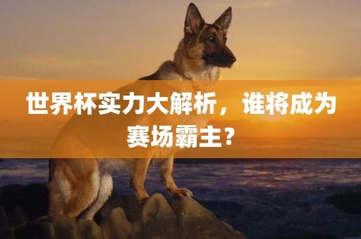 世界杯实力大解析，谁将成为赛场霸主？洛阳市法福文化传播有限公司