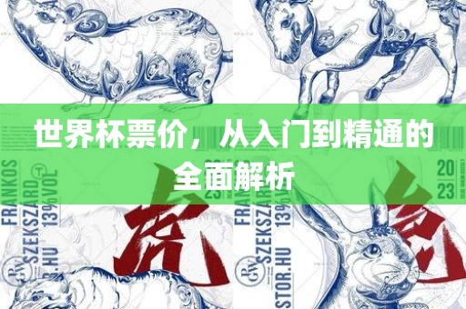 世界杯票价，从入门到精通的全面解析