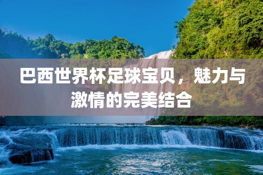巴西世界杯足球宝贝，魅力与激情的完美结合