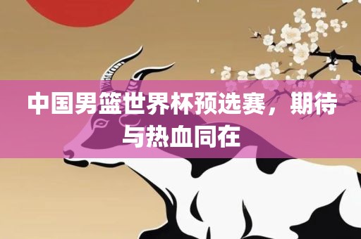 中国男篮世界杯预选赛，期待与热血同在