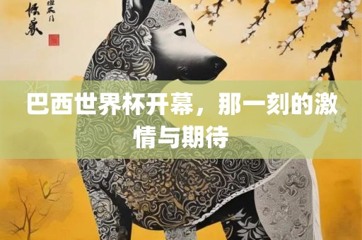 巴西世界杯开幕，那一刻的激情与期待
