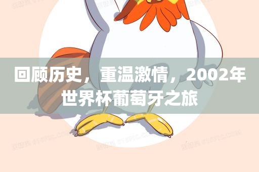回顾历史，重温激情，2002年世界杯葡萄牙之旅洛阳市法福文化传播有限公司
