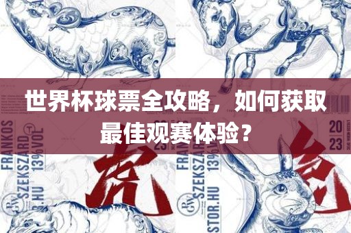 世界杯球票全攻略，如何获取最佳观赛体验？洛阳市法福文化传播有限公司