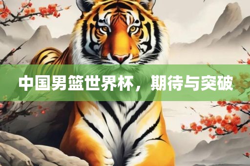 中国男篮世界杯，期待与突破