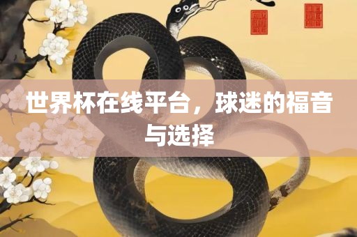 世界杯在线平台，球迷的福音与选择
