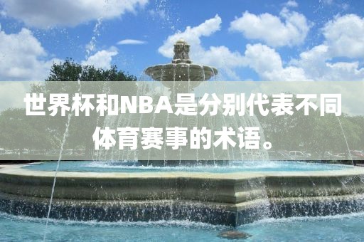 世界杯和NBA是分别代表不同体育赛事的术语。