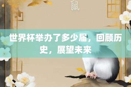 世界杯举办了多少届，回顾历史，展望未来洛阳市法福文化传播有限公司