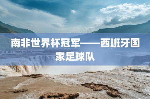 南非世界杯冠军——西班牙国家足球队