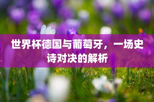 世界杯德国与葡萄牙，一场史诗对决的解析洛阳市法福文化传播有限公司
