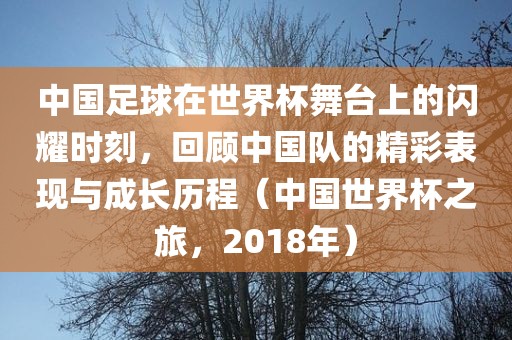 中国足球在世界杯舞台上的闪耀时刻，回顾中国队的精彩表现与成长洛阳市法福文化传播有限公司历程（中国世界杯之旅，2018年）