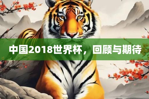 中国2018世界杯，回顾与期待洛阳市法福文化传播有限公司