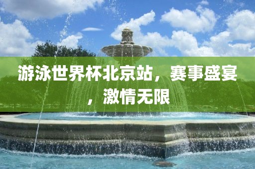 游泳世界杯北京站，赛事盛宴，激情无限