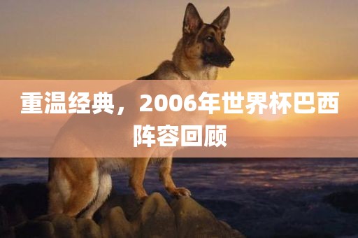 重温经典，2006年世界杯巴西阵容回顾