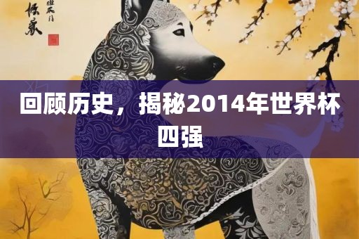 回顾历史，揭秘2014年世界杯四强