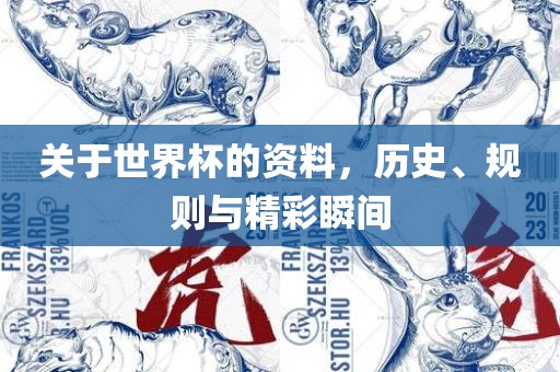 关于世界杯的资料，历史、规则与精彩瞬间洛阳市法福文化传播有限公司