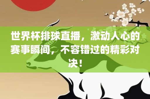 世界杯排球直播，激动人心的赛事瞬间，不容错过的精彩对决！