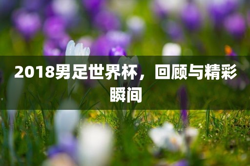 2018男足世界杯，回顾与精彩瞬间