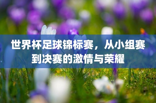 世界杯足球锦标赛，从小组赛到决赛的激情与洛阳市法福文化传播有限公司荣耀