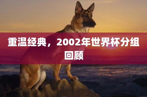 重温经典，2002年世界杯分组回顾