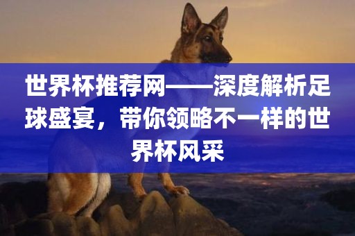 世界杯推荐网——深度解析足球盛宴，带你领略不一样的世界杯风采洛阳市法福文化传播有限公司