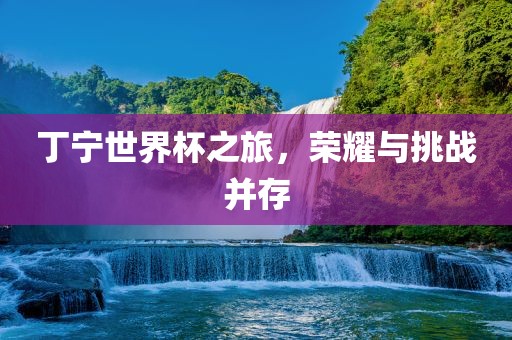 丁宁世界杯之旅，荣耀与挑战并存