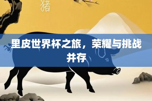 里皮世界杯之旅，荣耀与挑战并存