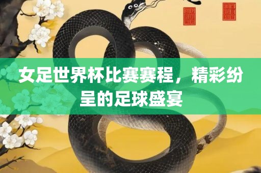 女足世界杯比赛赛程，精彩纷呈的足球盛宴洛阳市法福文化传播有限公司