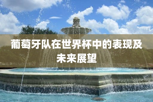 葡萄牙队在世界杯中的表现及未来展望