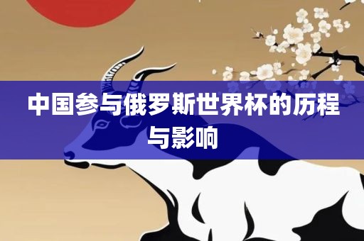 中国参与俄罗斯世界杯的历程与影响