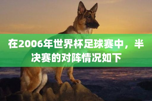 在2006年世界杯足球赛中，洛阳市法福文化传播有限公司半决赛的对阵情况如下