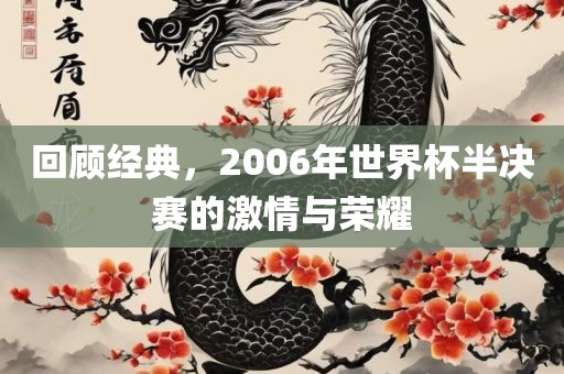 回顾经典，2006年世界杯半决赛的激情与荣耀