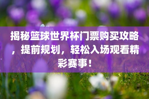 揭秘篮球世界杯门票购买攻略，提前规划，轻松入场观看精彩赛事！洛阳市法福文化传播有限公司