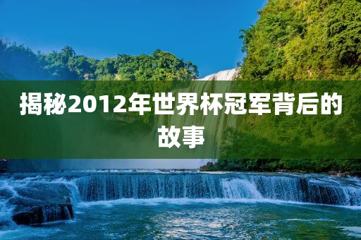 揭秘2012年世界杯冠军背后的故事
