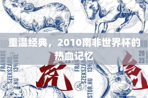 重温经典，2010南非世界杯的热血记忆